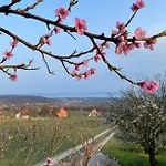 Lejlighed Panorama Borbirtok