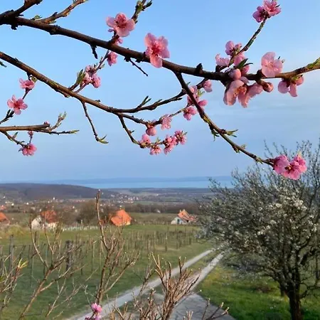 Appartamento Panoráma Borbirtok
