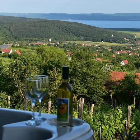 Panoráma Borbirtok Mencshely