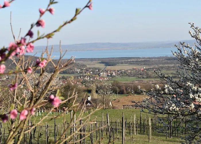Panorama Borbirtok Mencshely