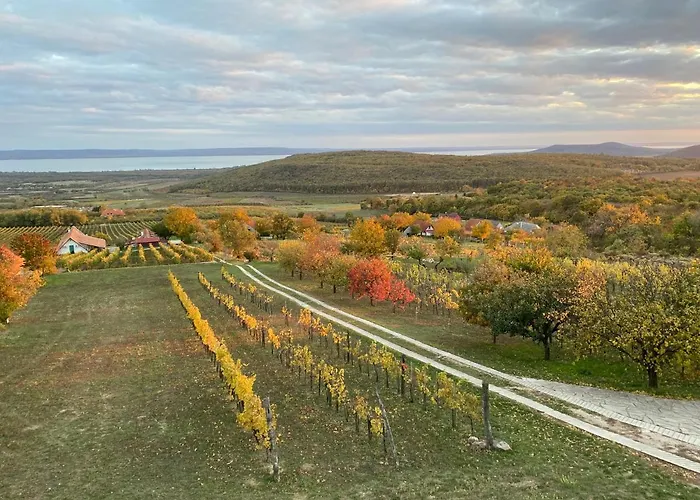 Lejlighed Panorama Borbirtok